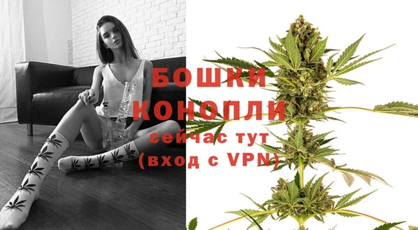 мдпв Володарск