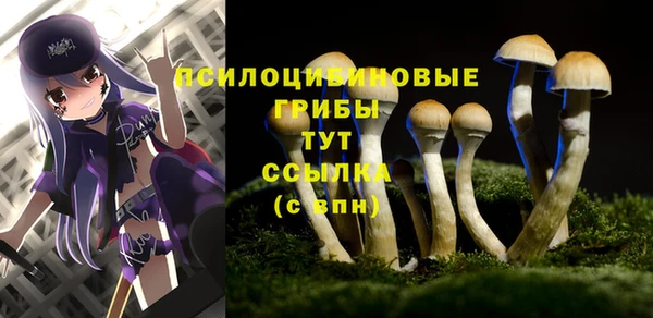 a pvp Волоколамск