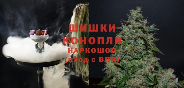 мдпв Володарск