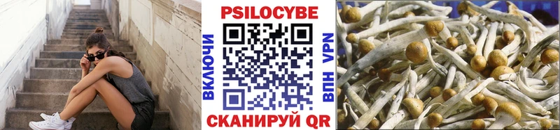 Псилоцибиновые грибы мухоморы  Полесск 